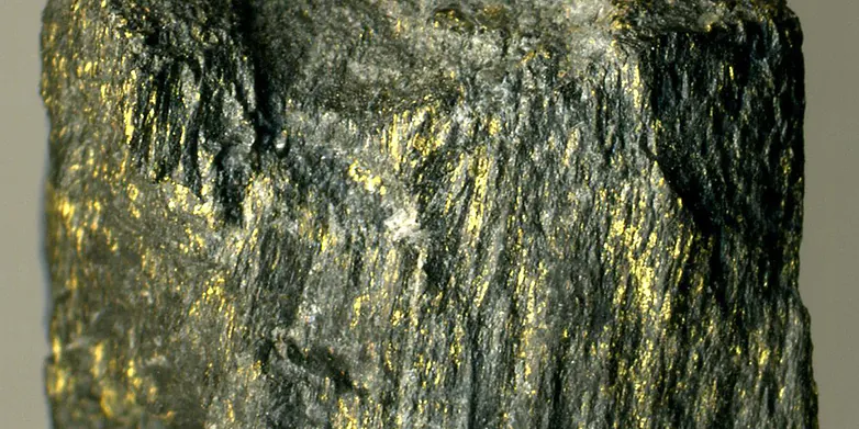 Golderz
